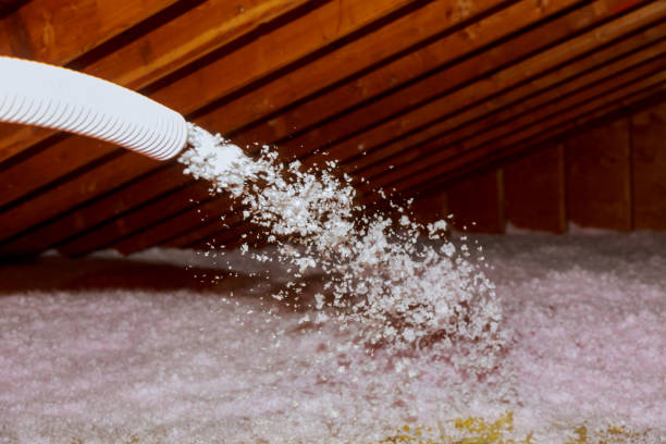 Best Insulation Maintenance and Repair in Vadnais Heights, MN