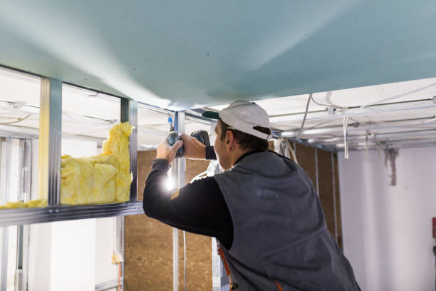 Best Types of Insulation in Vadnais Heights, MN