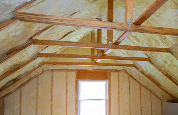 Best Residential Insulation in Vadnais Heights, MN