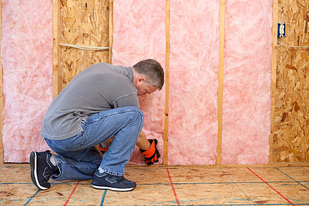 Best Types of Insulation in Vadnais Heights, MN